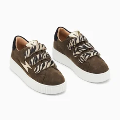 Vanessa Wu Baskets Eclair Maelle Kaki Et Or A Scratchs Hot